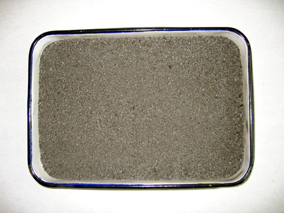 Ħ�����ό����џ���